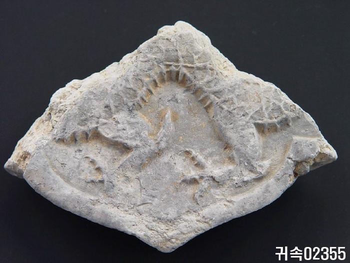 龍文平瓦當 이미지