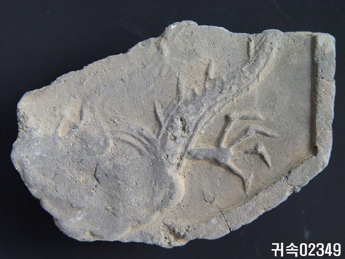 龍文平瓦當 이미지