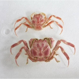 강화자연사박물관